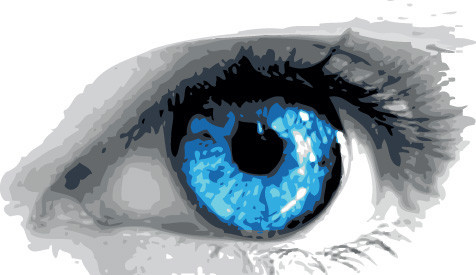 De nieuwe website is online